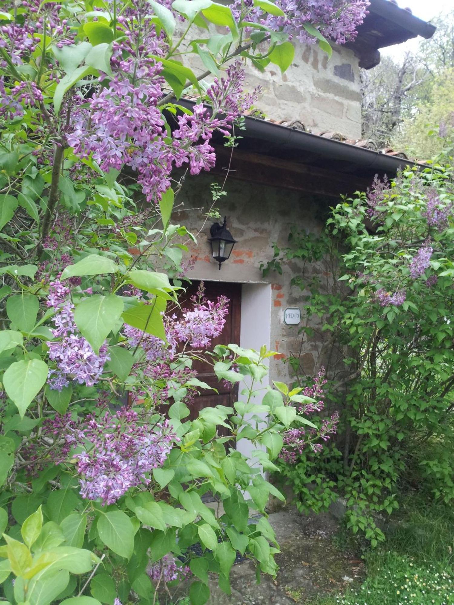 Fattoria Il Praticino - Metato Villa Castelfranco di Sopra Exterior photo